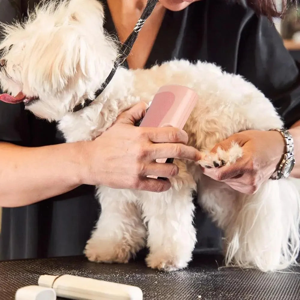 Professional Pet Deshedding Brush Multifunctional Pet Groom Brush Ergonomic Pet Groom Brush Dog Hair Remover Deshedding Tool