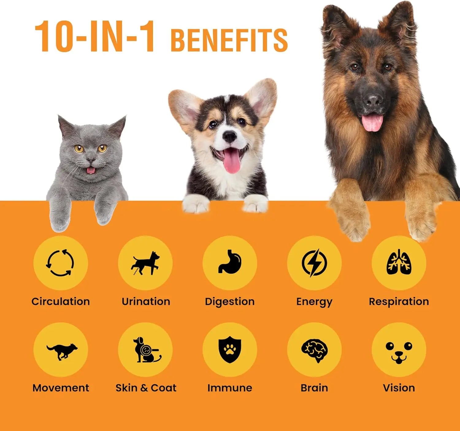 8 Ounce (Pack of 1)10-in-1 Liquid Multivitamin for Dogs and Cats, 8 Ounce Multi Vitamin Supplement, Vitamin for Dogs,  Cats,