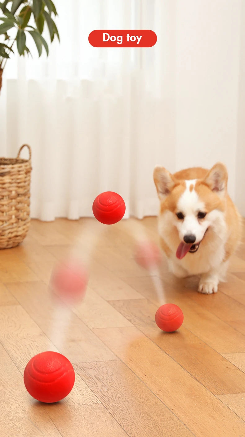 Indestructible Chew Proof Rubber Ball S to L Size Durable Bouncy Dog Toy for Pets Training Interactive Chew Resistant Molar Ball