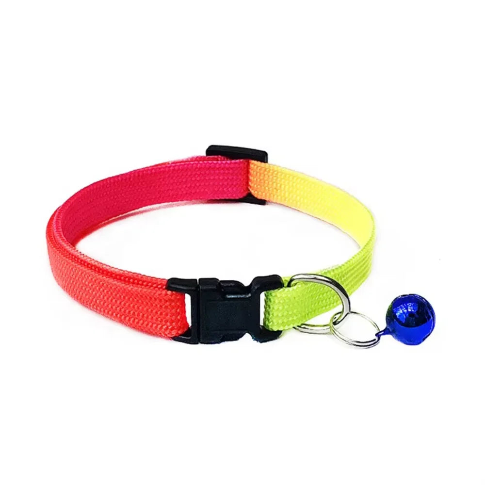 All-in-One Pet Gear Set – Collar, Clothes, Harness, Muzzle & Tag