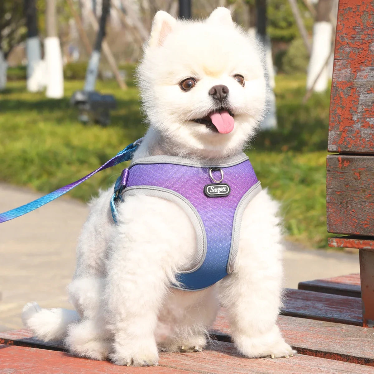 1pc Dog Harness  Small, Medium, Pet Dog Ombre Harness and Leash Set. Airtag cat collar Dogs stuff Leash Flea   tick control Pets