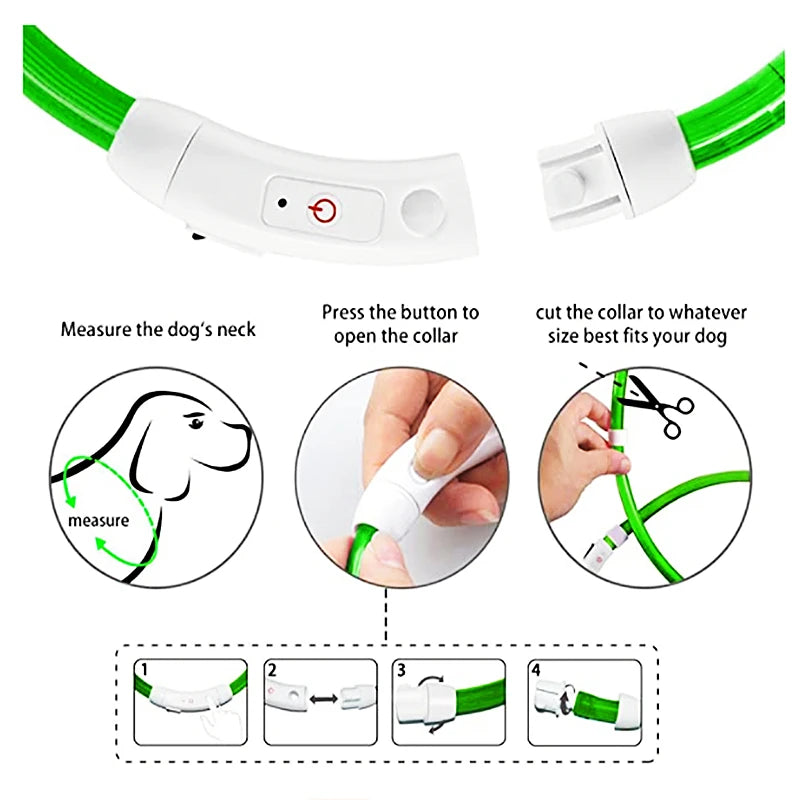 USB Rechargeable LED Pet Collar – Adjustable Glowing Safety Light