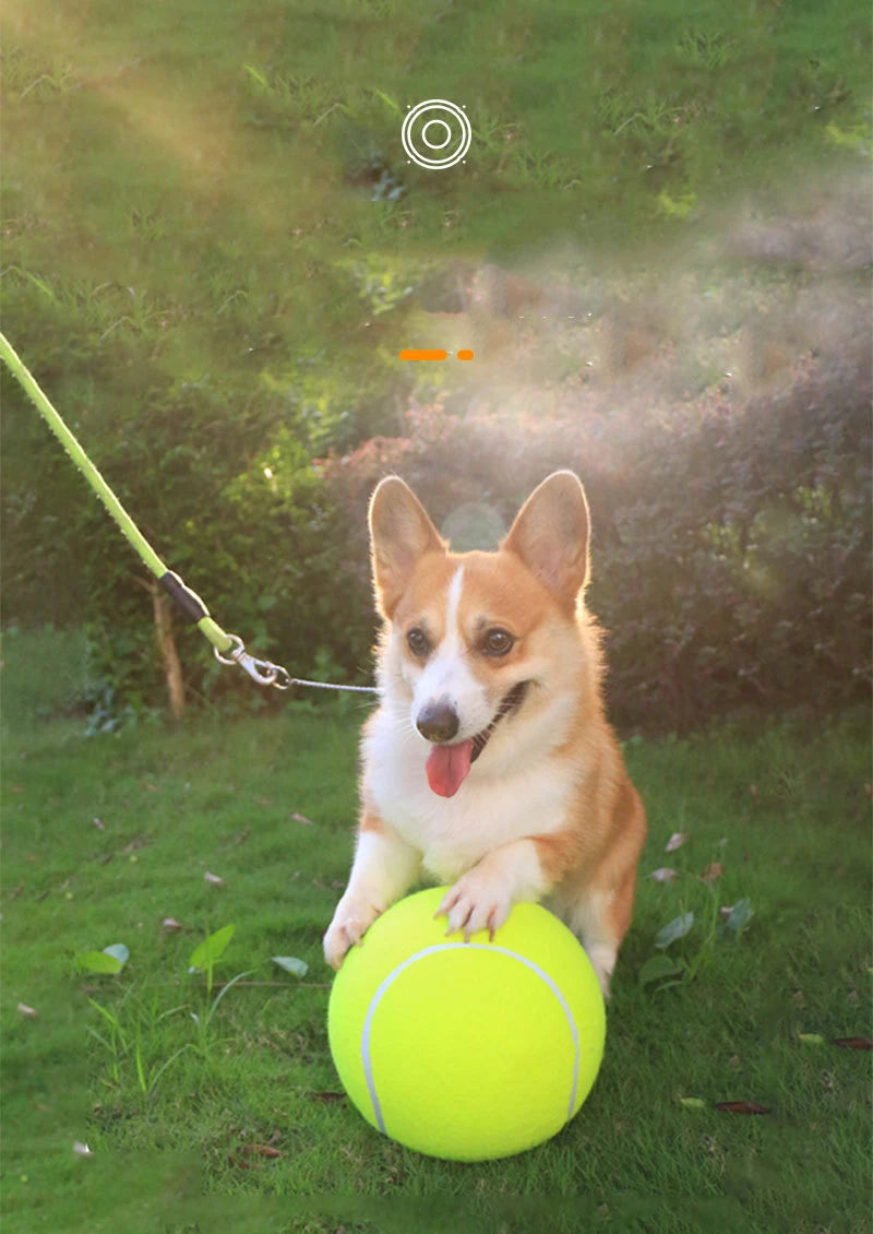 1 Pack 9.5 inch  Tennis Ball Large Dog Tennis Ball Pet Balls for Dogs for Outdoor/Indoor Sports Dog Gift Training Supplies