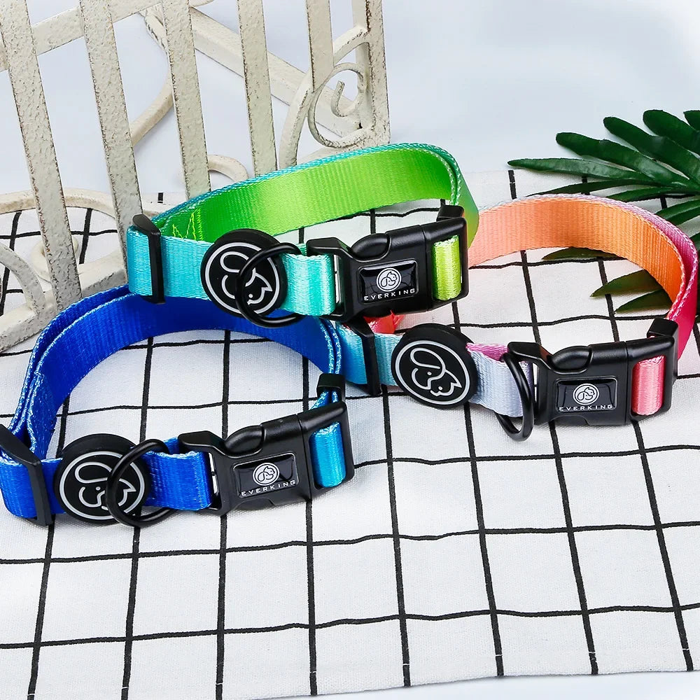 Gradient color Dog Collar and Leash Set dog luxury desgin harness for small medium and large dog harness and leash personalized