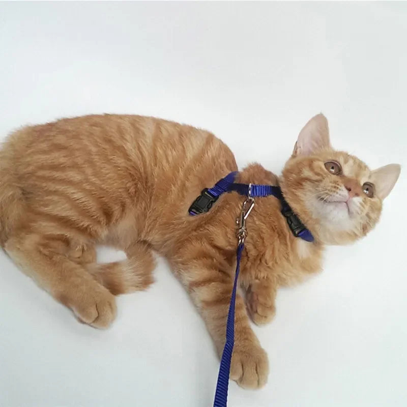 Adjustable Nylon Cat Harness with Leash Set Comfort Fit Vest Escape-Proof Cat Harness And Leash for Safe Walking and Training