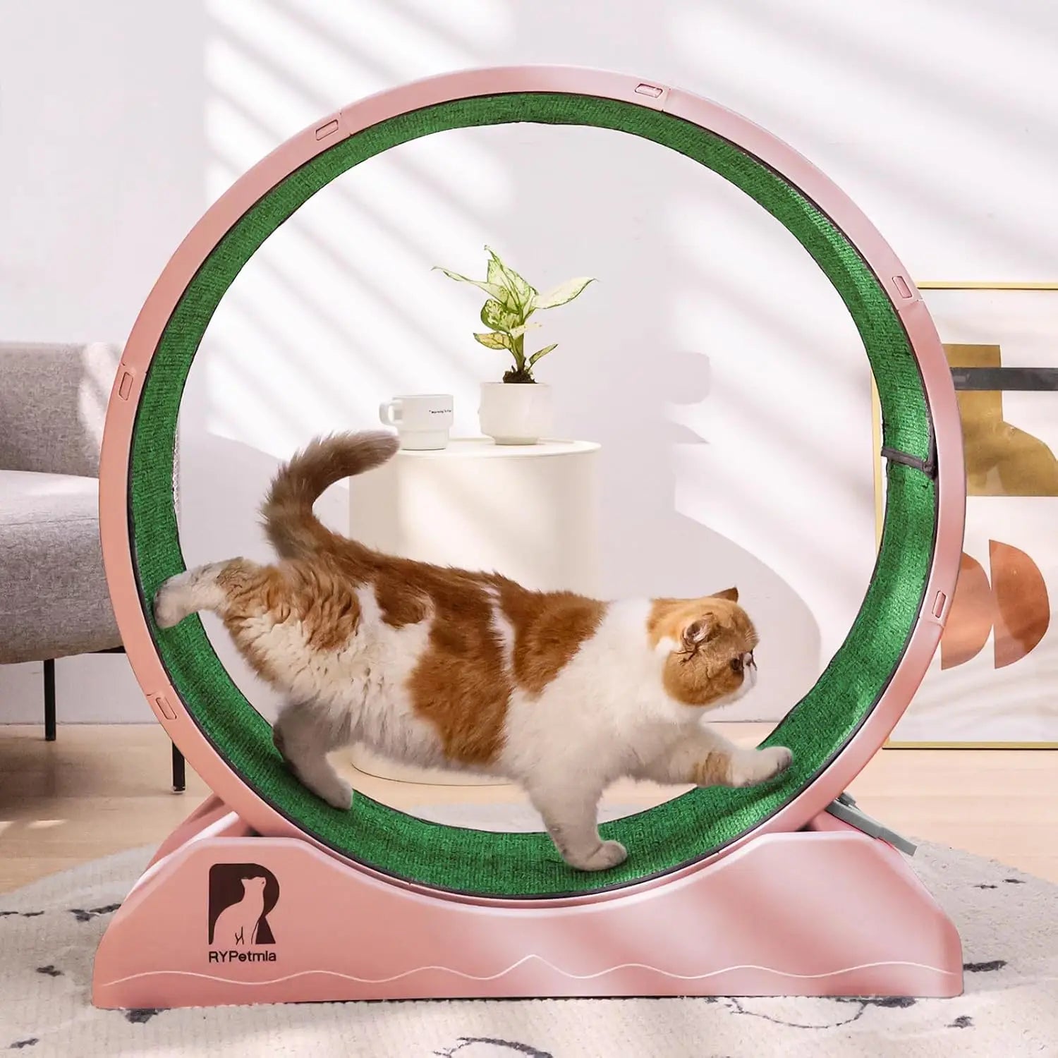 Cat Exercise Wheel, Cat Treadmill for Indoor Cats, Cat Running Wheel with Carpeted Runway, Easy to Install & Fitness & Health,