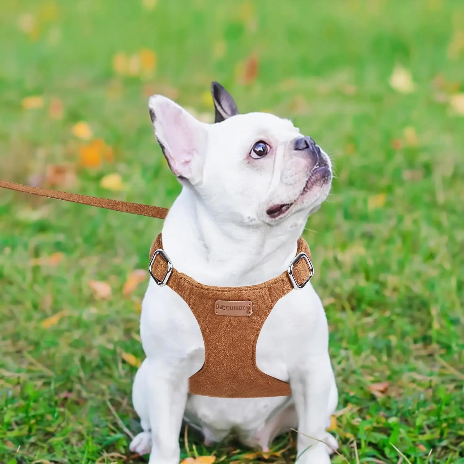 Dog Harness and Leash Set No Pull Adjustable Puppy Harness with Multifunction Dog Leash and Collar Soft No Choke Escape Proof