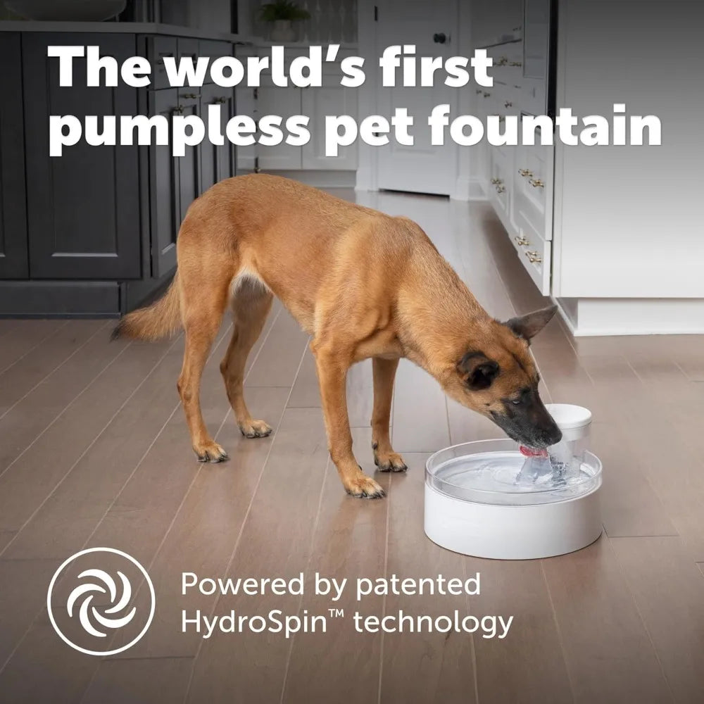 Pumpless Pet Water Fountain 128 oz for Dogs and Multiple Cats, Dishwasher Safe, Easy Assembly & Cleaning, Water Filter Included