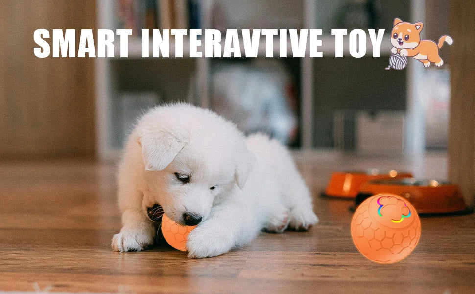 Smart Interactive Dog & Cat Toy Ball