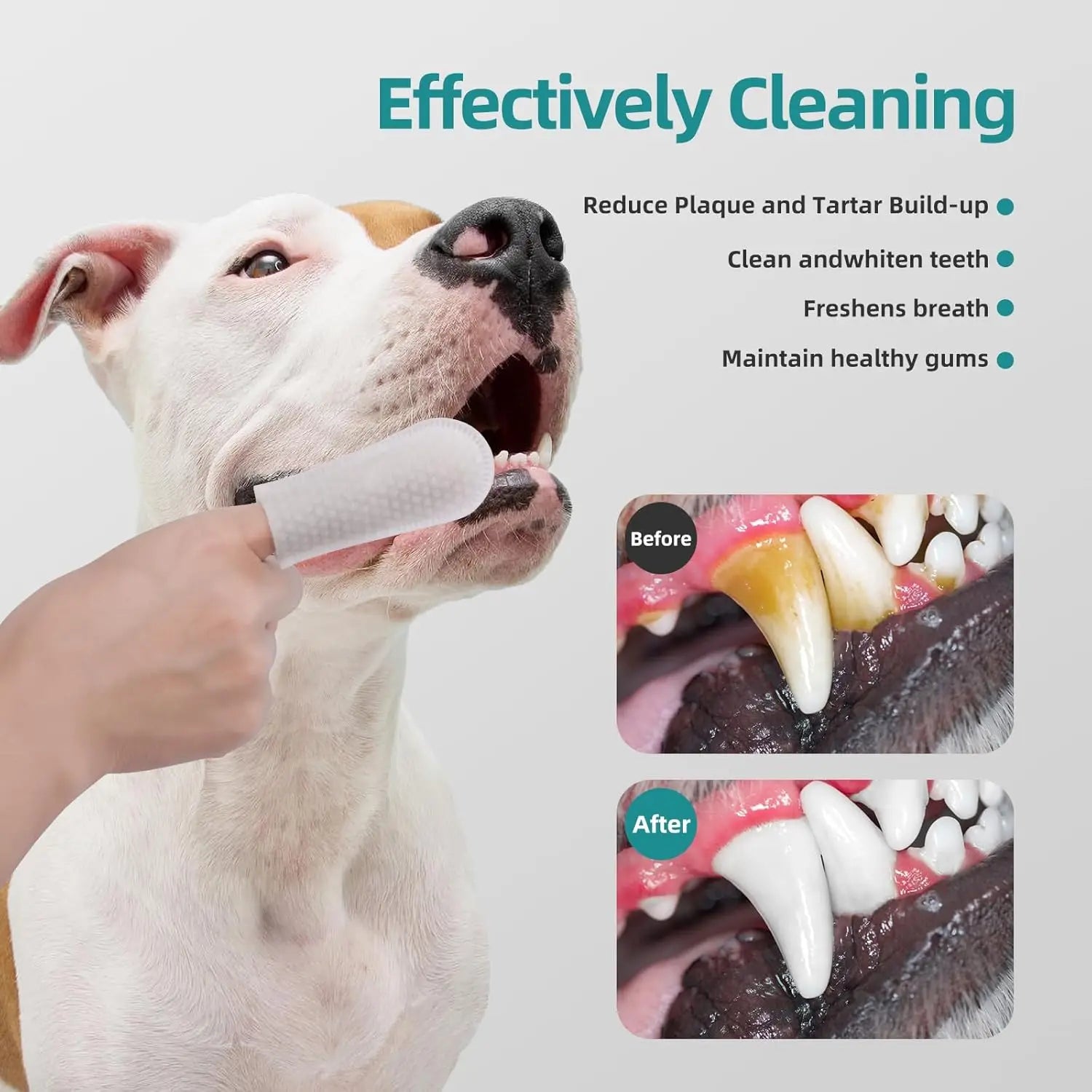 Dogs & CatsTeeth Cleaning Wipes, Pet Dental Finger Wipes for  Disposable Gentle Teeth Cleaning Pads ToothBad BreathRemove Plaque