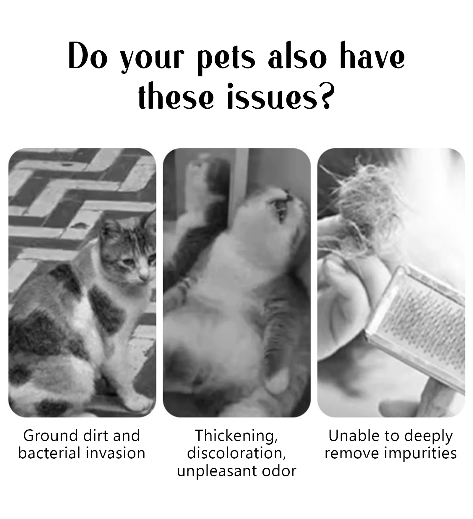 Dog Steam Comb Pet Massage Brush USB Charging Safe Round Head Soft Teeth Spray Hair Removal Comb Universal for Cats Dogs