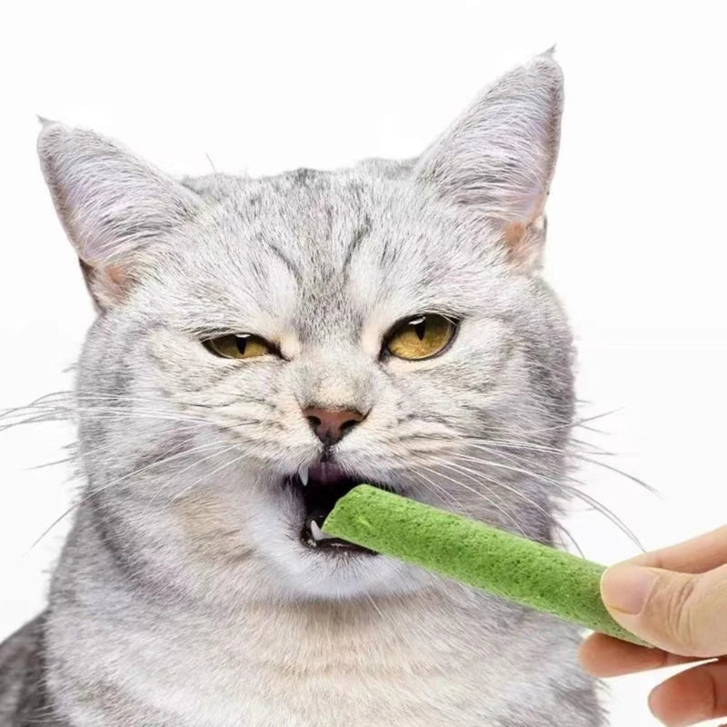 Cat Grass Chew & Teeth Cleaner