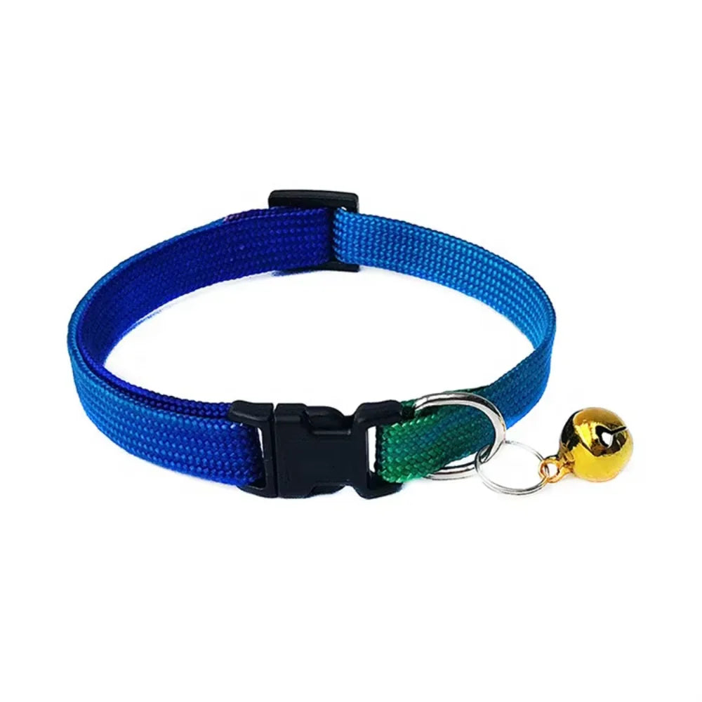 All-in-One Pet Gear Set – Collar, Clothes, Harness, Muzzle & Tag