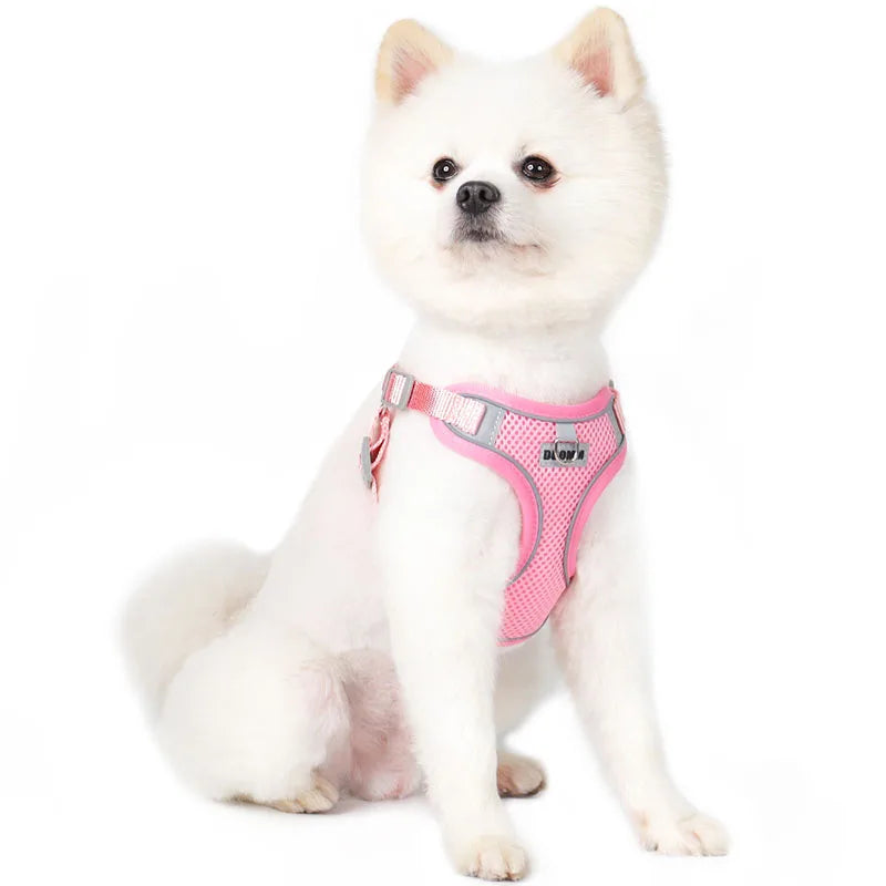 Dog Harness Leash Set for Small Medium Dog Cat Chest Strap Reflective Dog Clothes Vest Set Chihuahua Outdoor Walking Pet Supplie