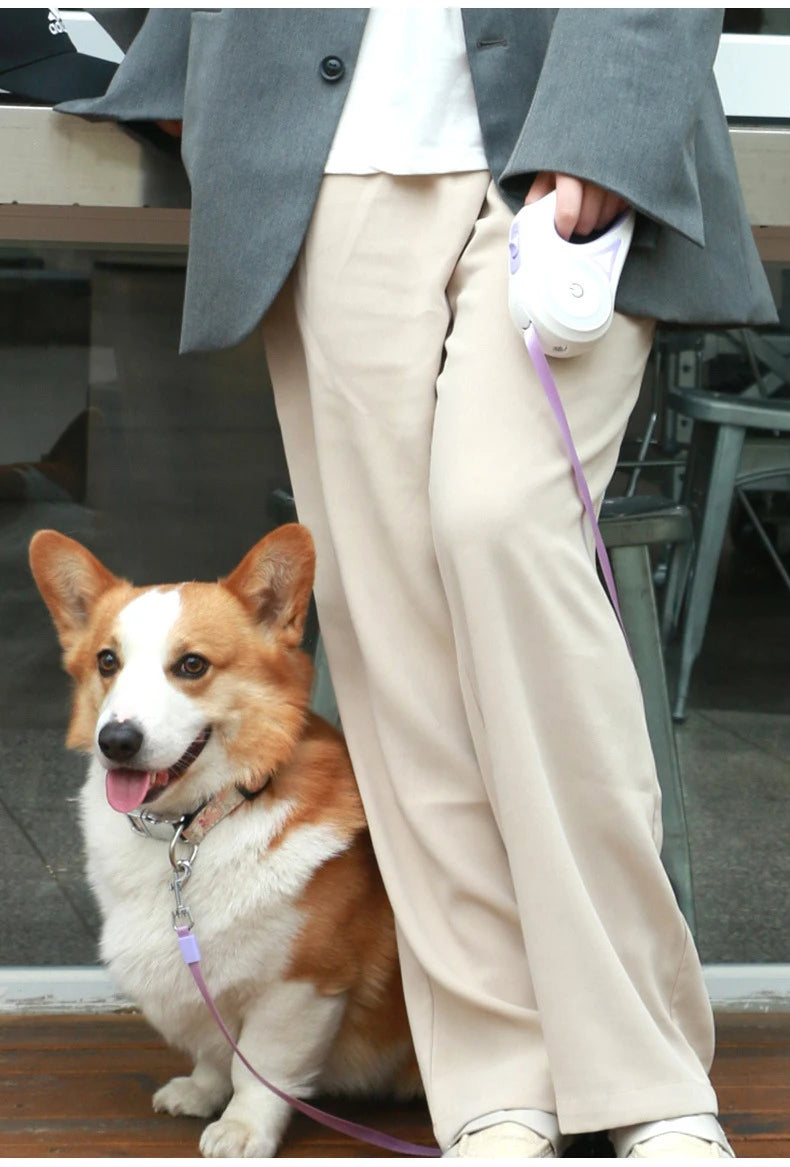 LED Luminous Dog Leash Automatic Retractable Leash for Medium Dogs Outdoor Small Pet Traction Rope Dog Accessories Pet Supplies