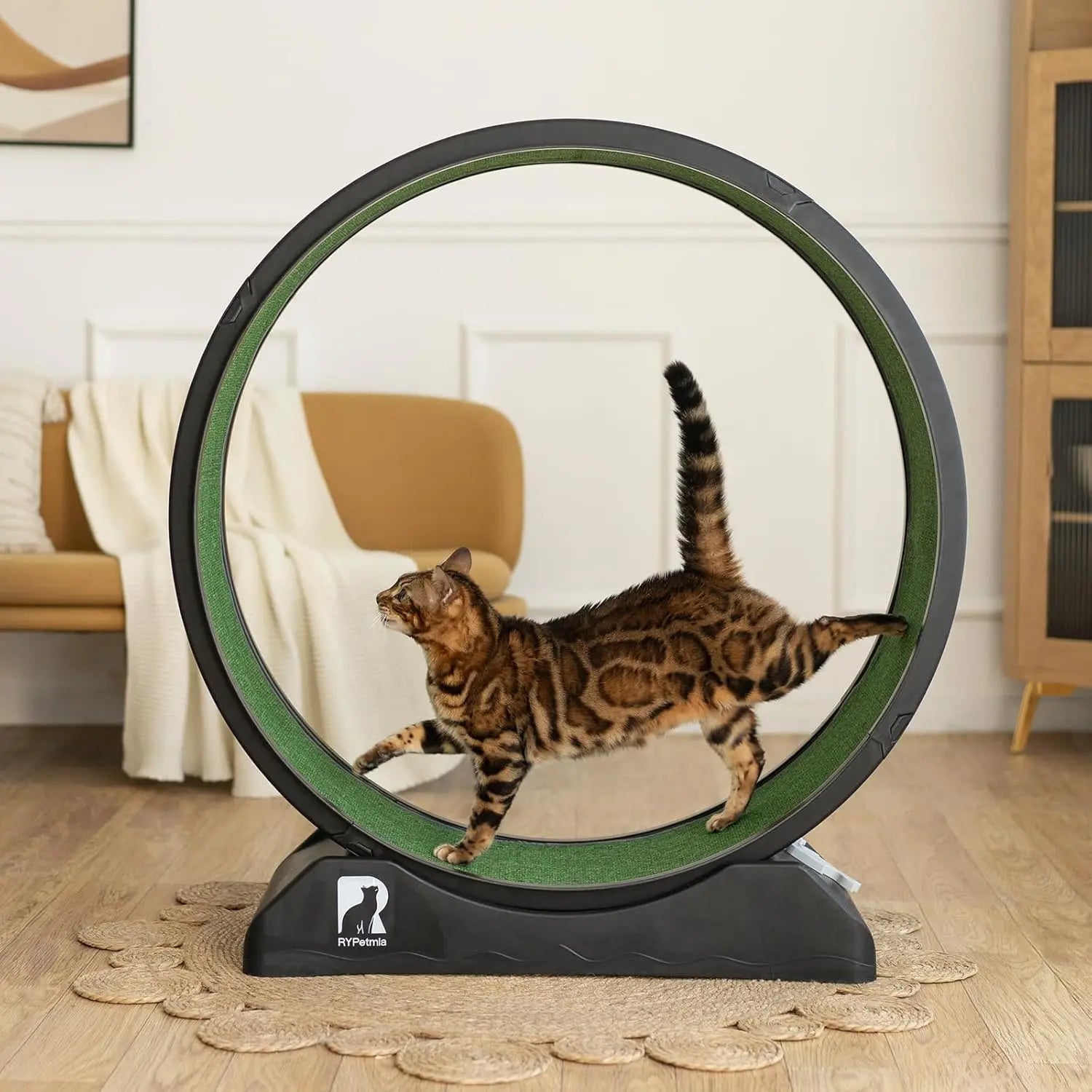 Cat Exercise Wheel, Cat Treadmill for Indoor Cats, Cat Running Wheel with Carpeted Runway, Easy to Install & Fitness & Health,