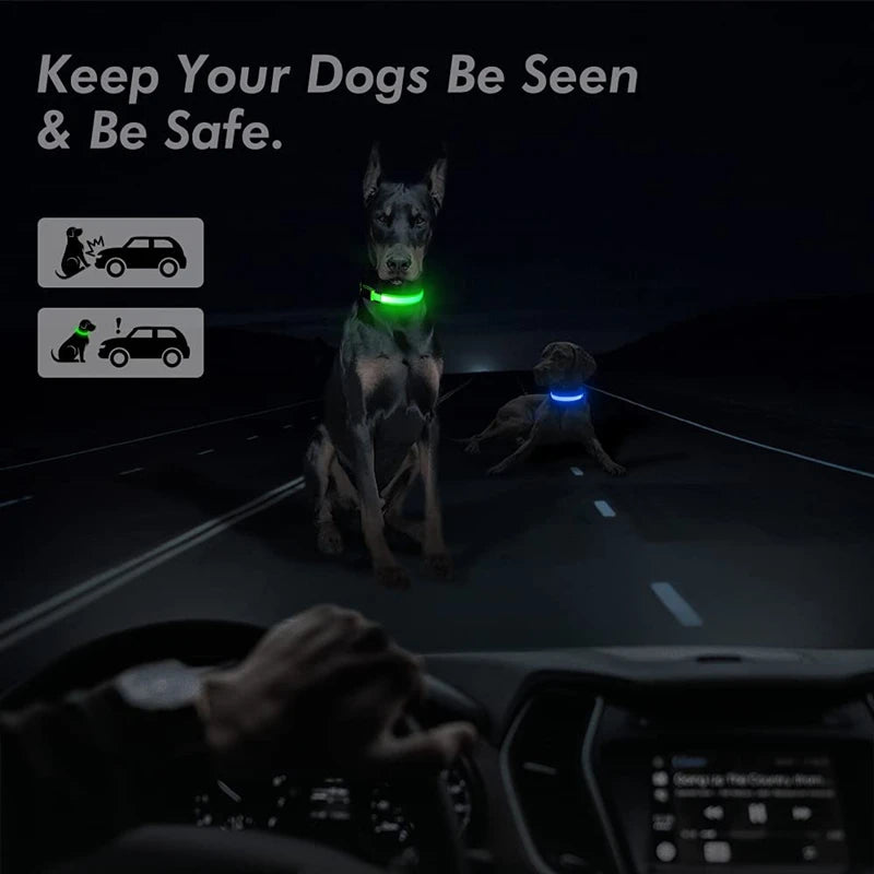 USB Rechargeable LED Pet Collar – Adjustable Glowing Safety Light