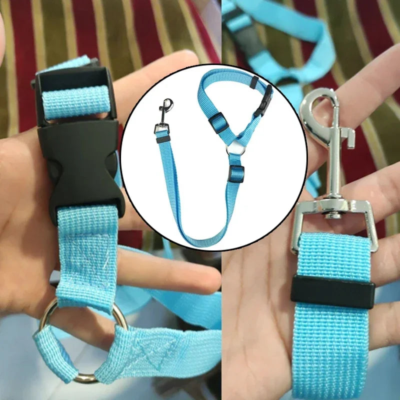 2-in-1 Pet Car Seat Belt & Leash – Adjustable Safety Harness