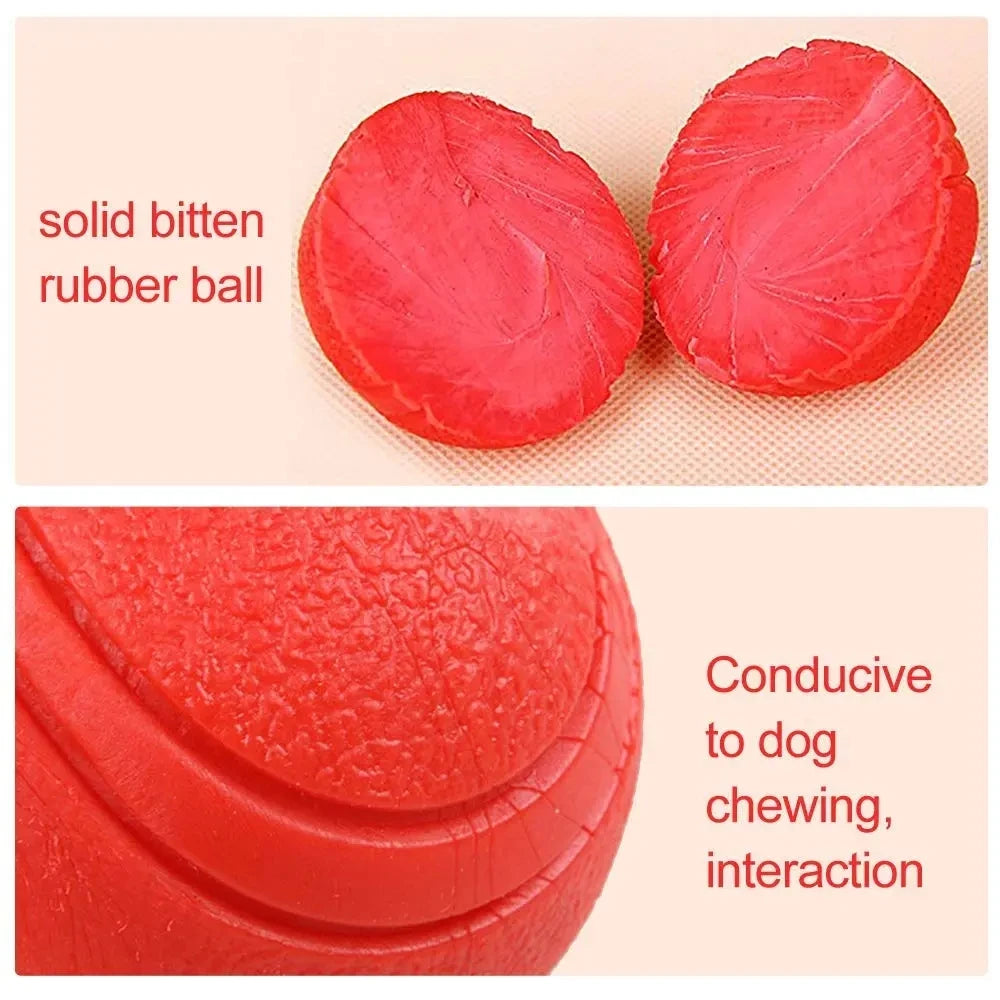 Indestructible Chew Proof Rubber Ball S to L Size Durable Bouncy Dog Toy for Pets Training Interactive Chew Resistant Molar Ball
