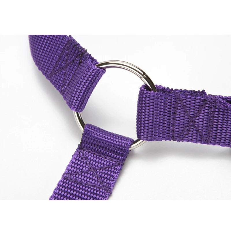 2-in-1 Pet Car Seat Belt & Leash – Adjustable Safety Harness